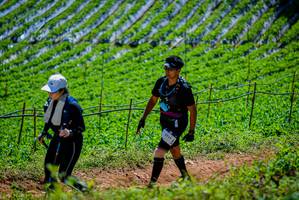 BIB: 2914
                            <button type="button" onclick="openModal(19164723)" class="btn btn-primary btn-sm float-right btn-popup" data-toggle="modal" data-target=".modal-high-quality">
                        <i class="fas fa-shopping-cart"></i> Add to Cart
                    </button>
                                            <button type="button" onclick="isThisMe(19164723, true)" class="btn btn-success btn-sm float-right btn-popup btn-isme hidden" data-toggle="tooltip" data-placement="bottom" title="นี่คือรูปของคุณใช่ไหม คลิกที่นี่เพื่อเอาเข้าอัลบั้ม">
                        <i class="fas fa-plus"></i> Add to album
                    </button>
                    <button type="button" onclick="isThisMe(19164723, false)" class="btn btn-warning btn-sm float-right btn-popup btn-isnotme hidden">
                        <i class="fas fa-ban"></i> Remove from album
                    </button>